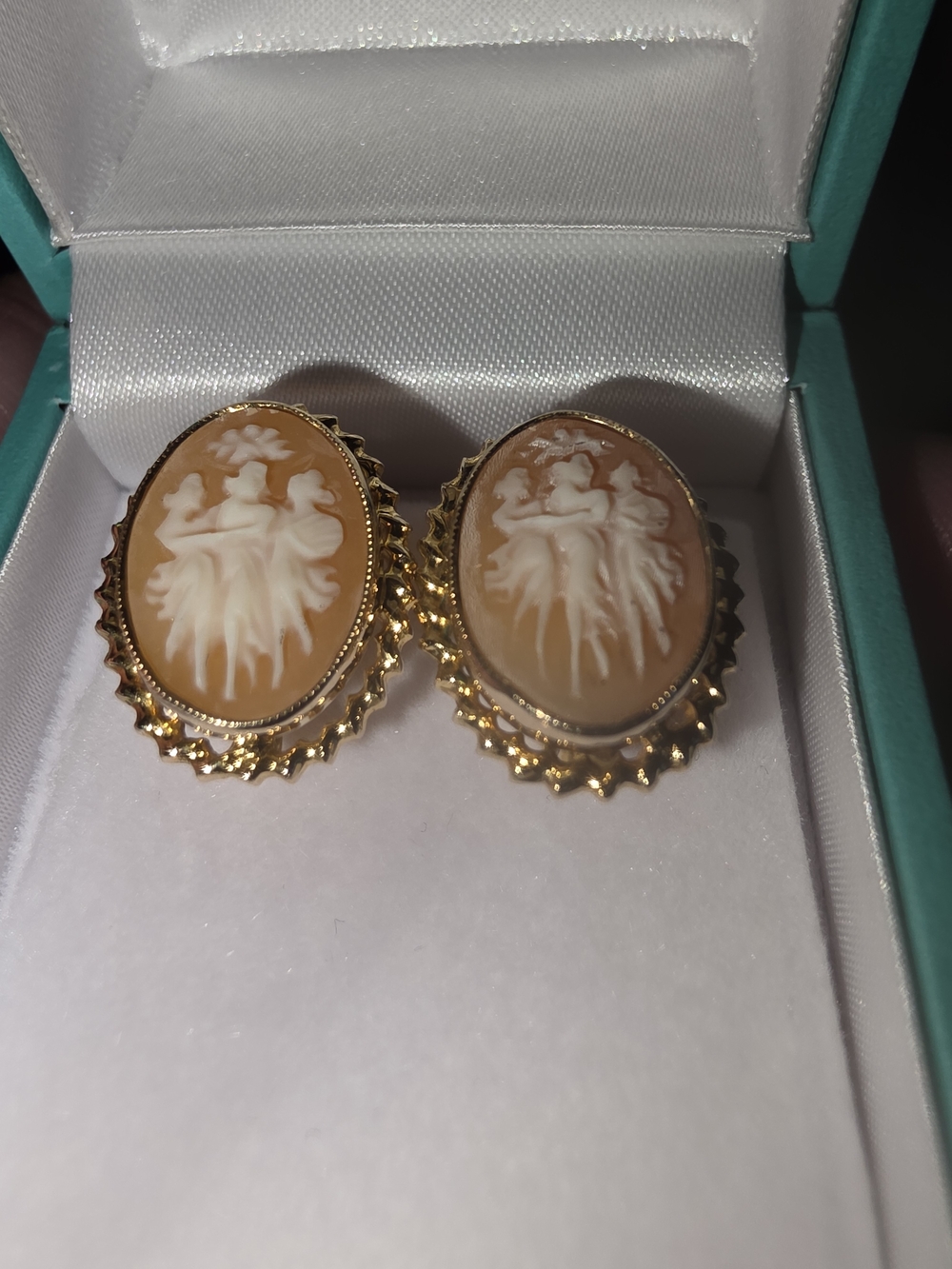 14k Gold Cameo 1950s Screw Back Clip On Earrings